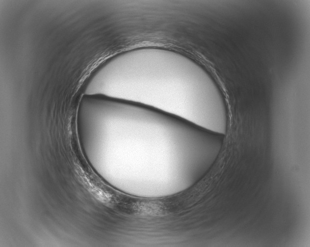 X0000086310106200703301007