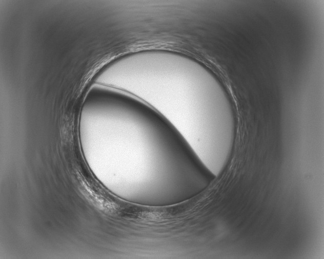 X0000086310107200703301007