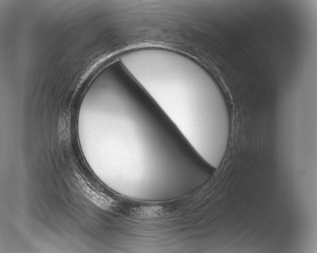 X0000086310108200703301007