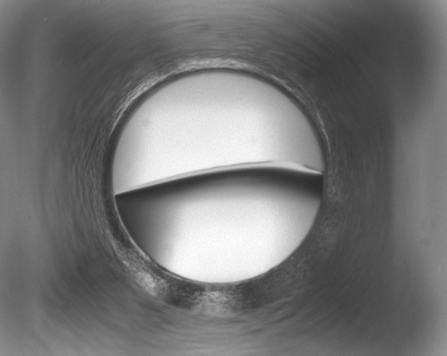 X0000086310111200703301007