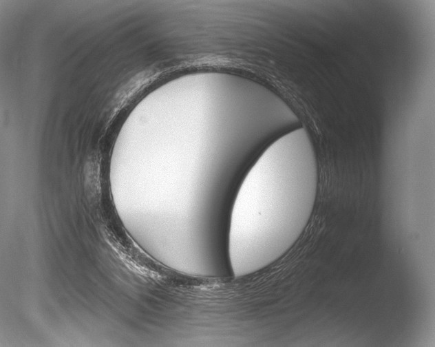 X0000086310112200703301007