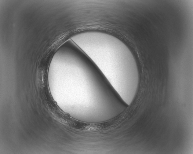 X0000086310115200703301007