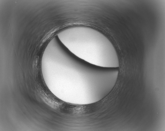 X0000086310116200703301007