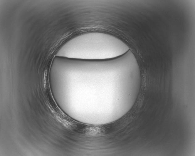 X0000086310118200703301006