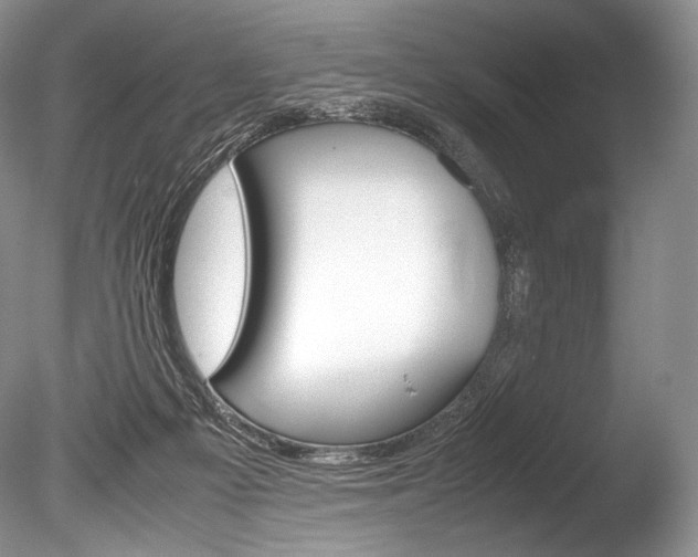 X0000086310121200703301006