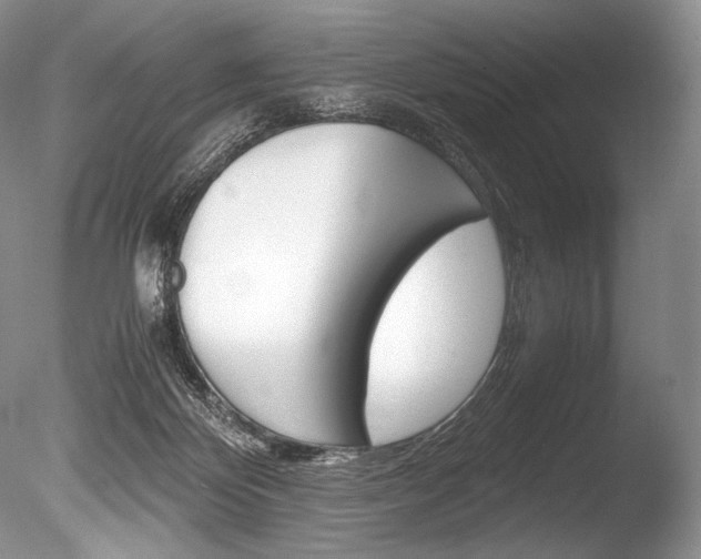 X0000086310124200703301006