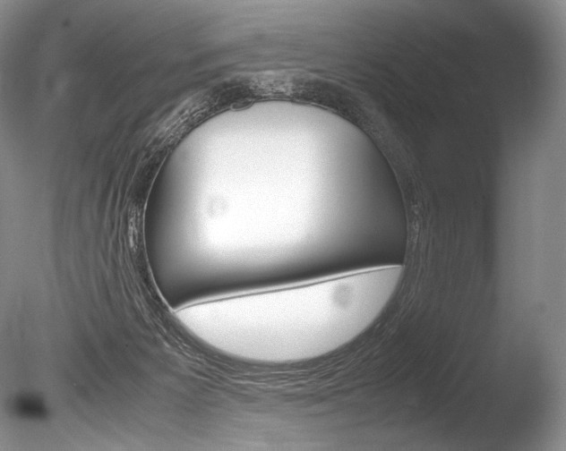 X0000086310125200703301006