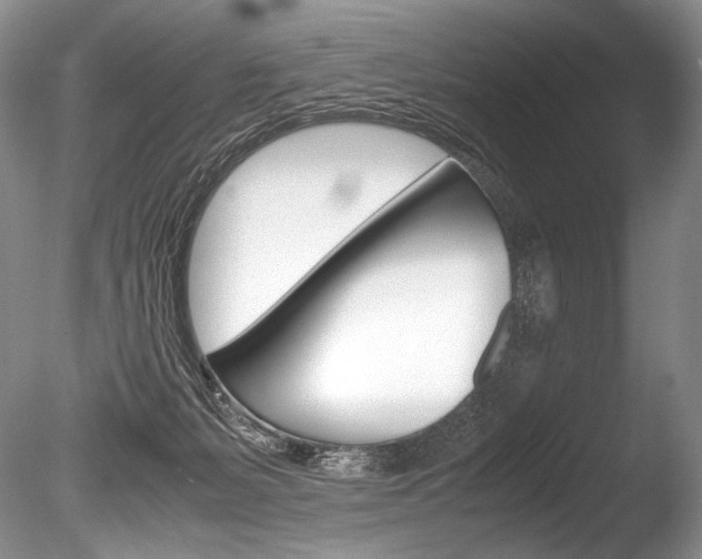 X0000086310127200703301006
