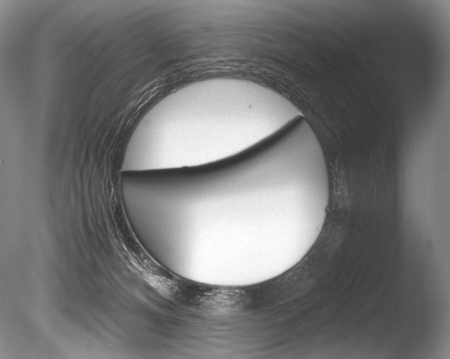 X0000086310128200703301006