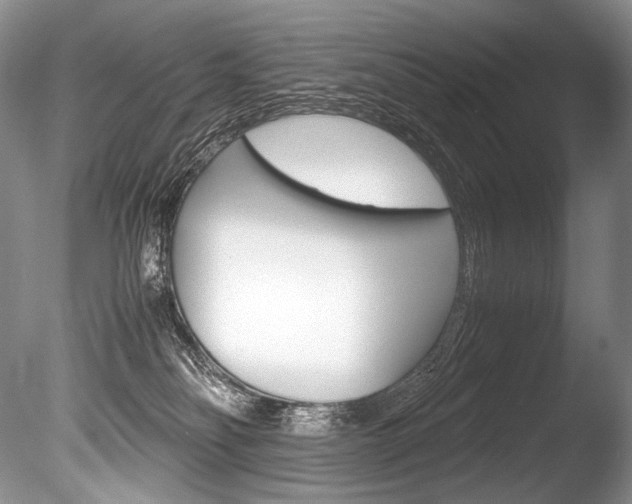 X0000086310134200703301006
