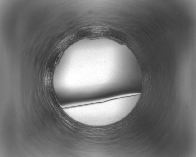 X0000086310137200703301006