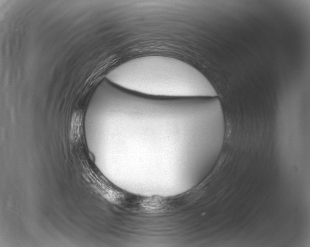 X0000086310142200703301006