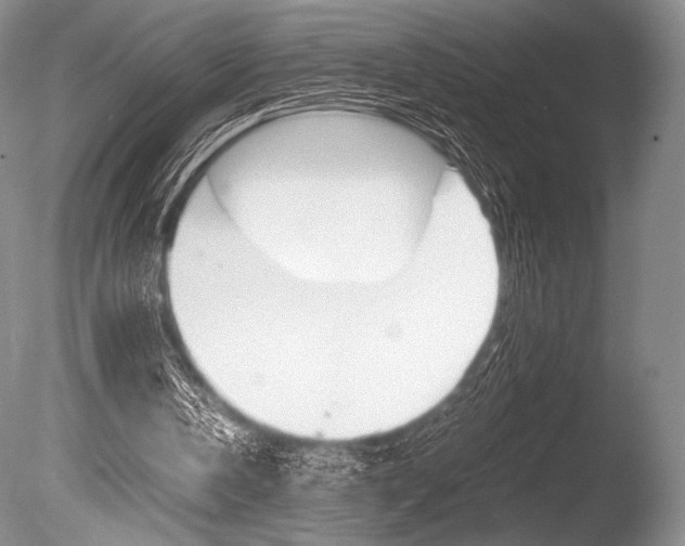 X0000086310146200703301005