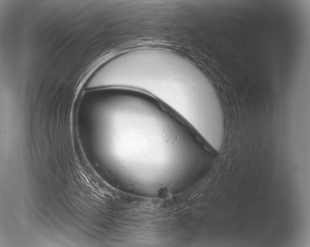 X0000086310148200703301005