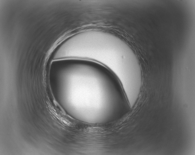 X0000086310150200703301005