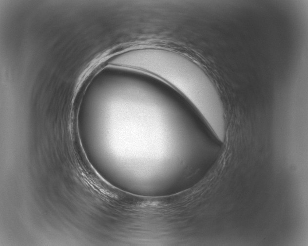 X0000086310152200703301005