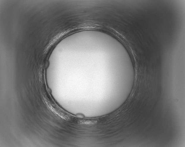 X0000086310155200703301005
