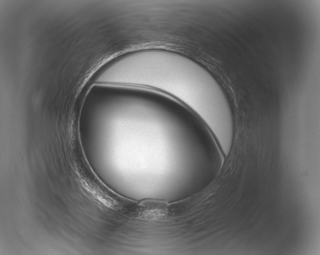 X0000086310156200703301005