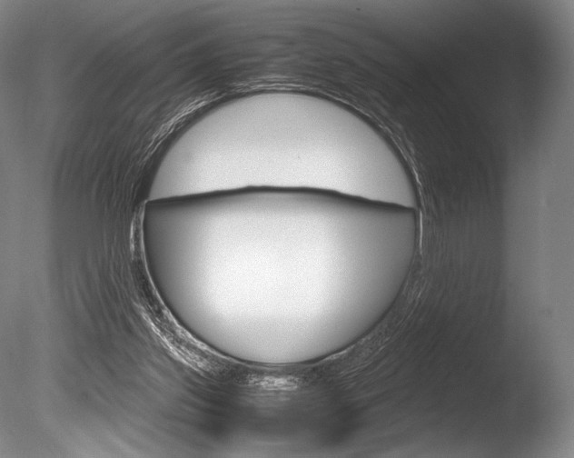 X0000086310157200703301005