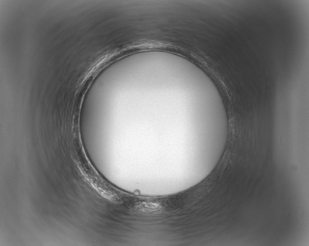 X0000086310159200703301005