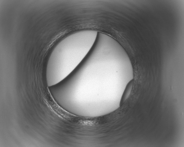 X0000086310163200703301006