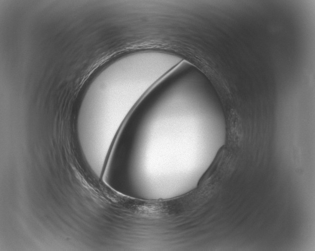 X0000086310164200703301006