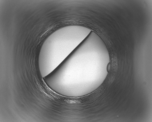 X0000086310165200703301006