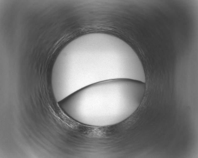 X0000086310166200703301006