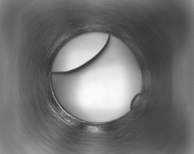 X0000086310167200703301006