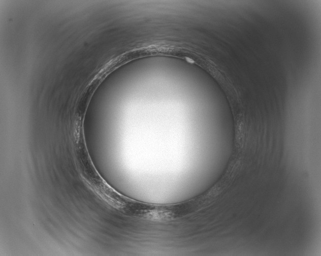 X0000086310168200703301006