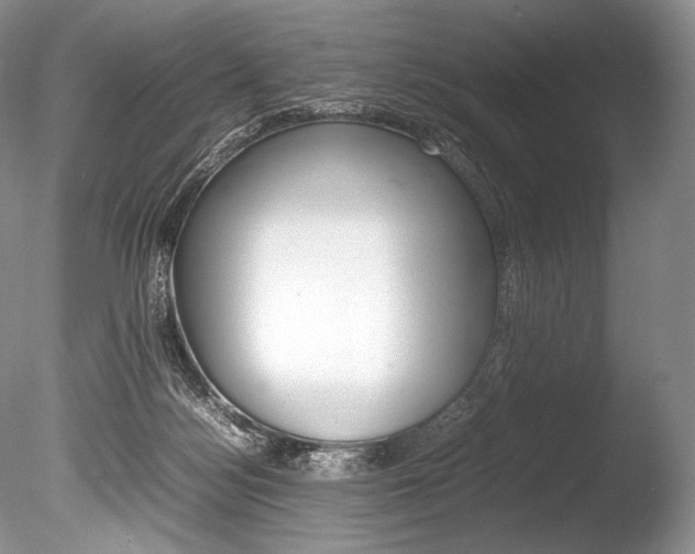 X0000086310172200703301006