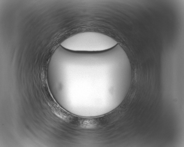 X0000086310173200703301006