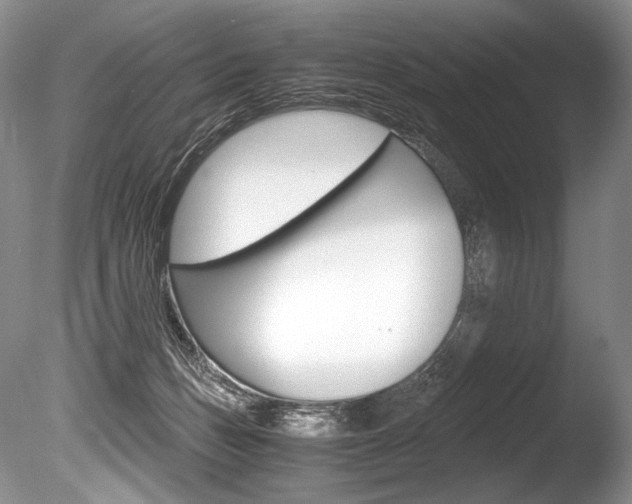 X0000086310175200703301006
