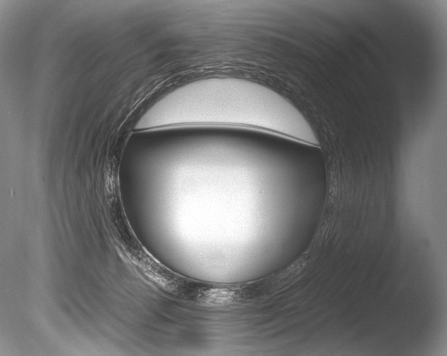 X0000086310176200703301006
