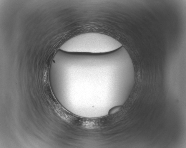 X0000086310177200703301006