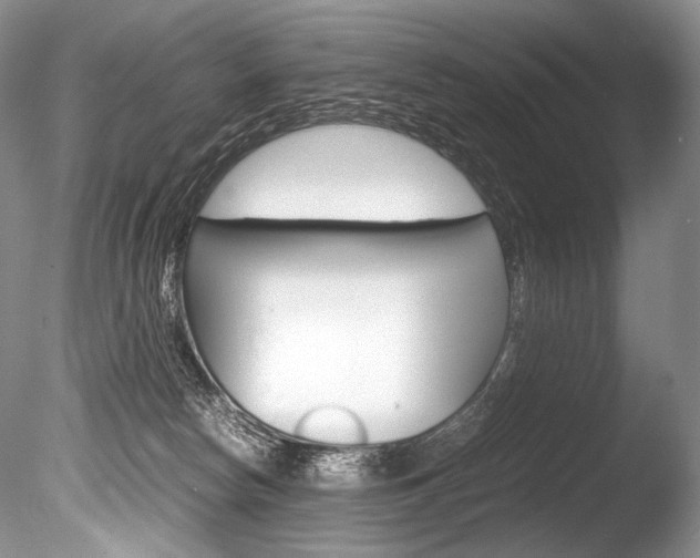 X0000086310178200703301006