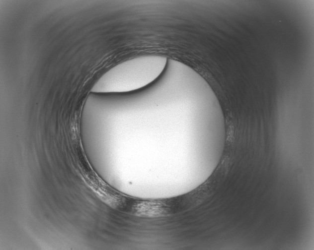 X0000086310179200703301006