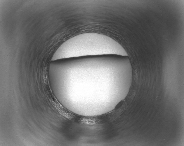 X0000086310181200703301006