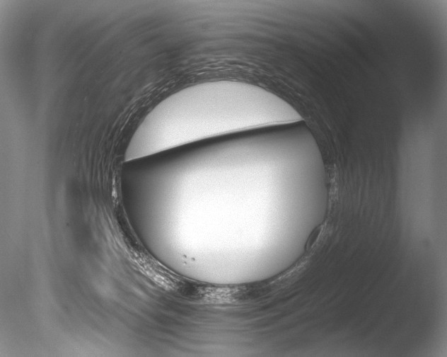 X0000086310182200703301006