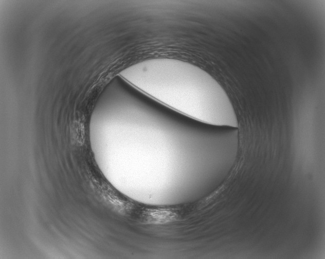 X0000086310183200703301006