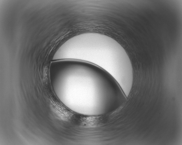 X0000086310184200703301006