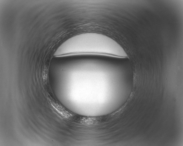 X0000086310186200703301006