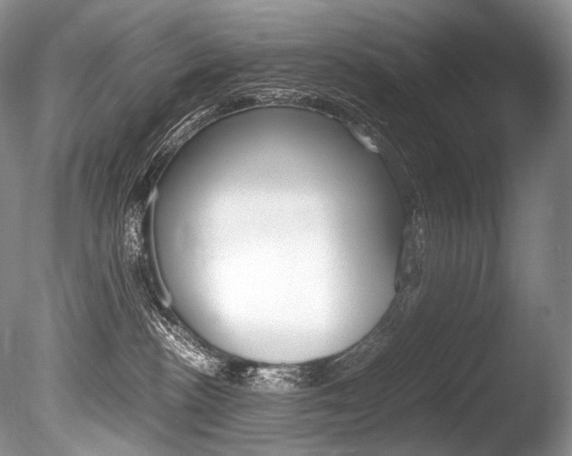 X0000086310188200703301006