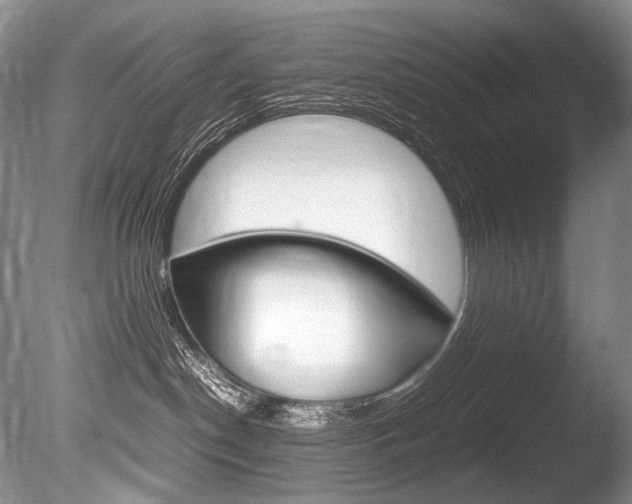 X0000086310190200703301006
