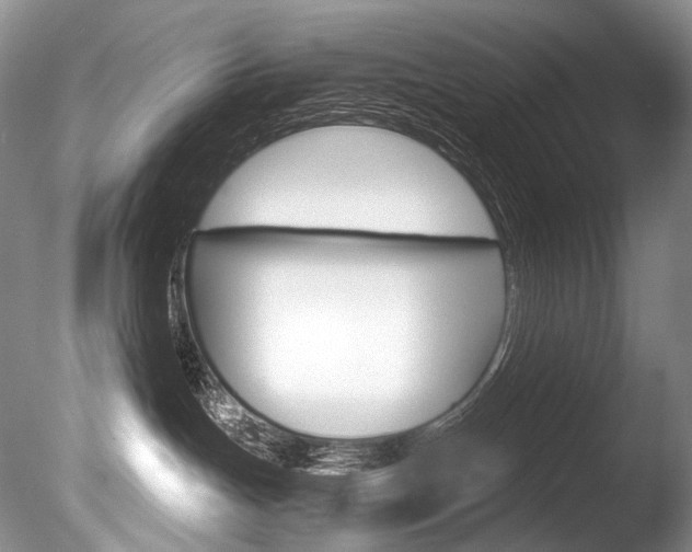 X0000086310191200703301006