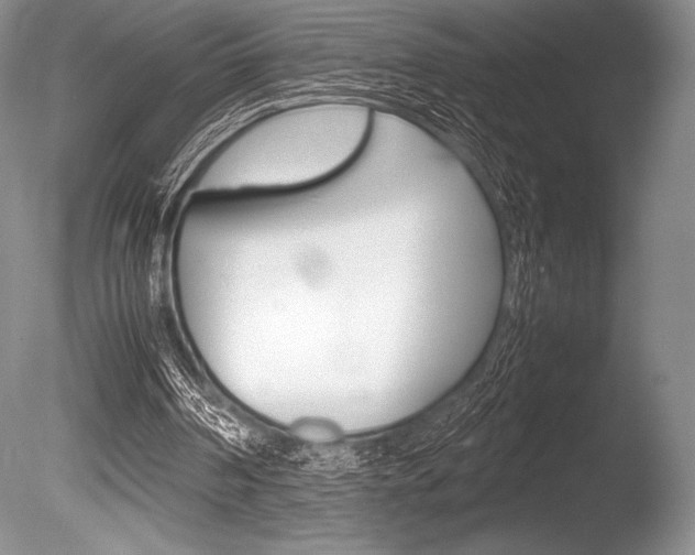 X0000086310194200703301005