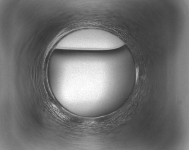 X0000086310195200703301005