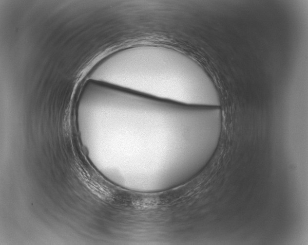 X0000086310196200703301005