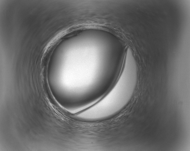 X0000086310197200703301005