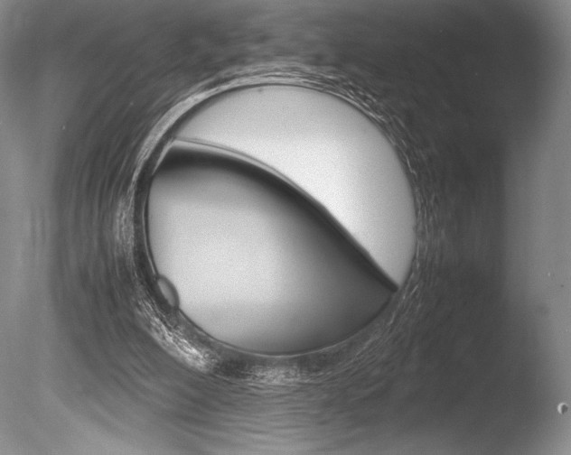 X0000086310200200703301005